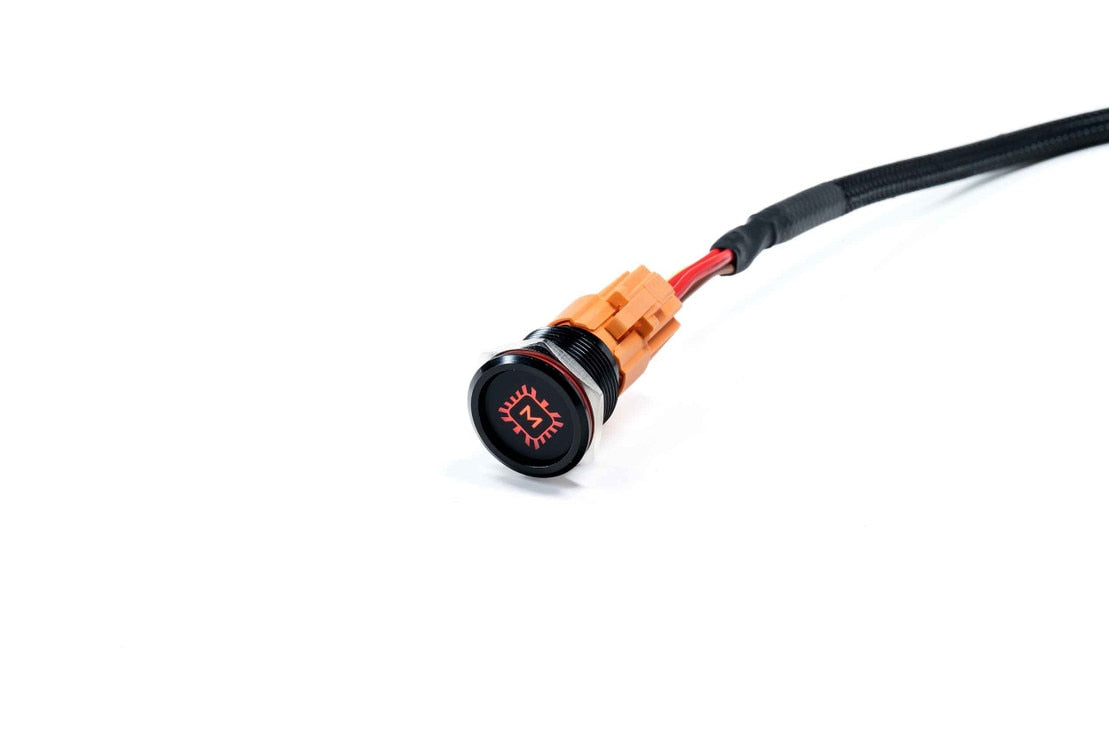 Harnais électrique Bigbanger à 2 modules