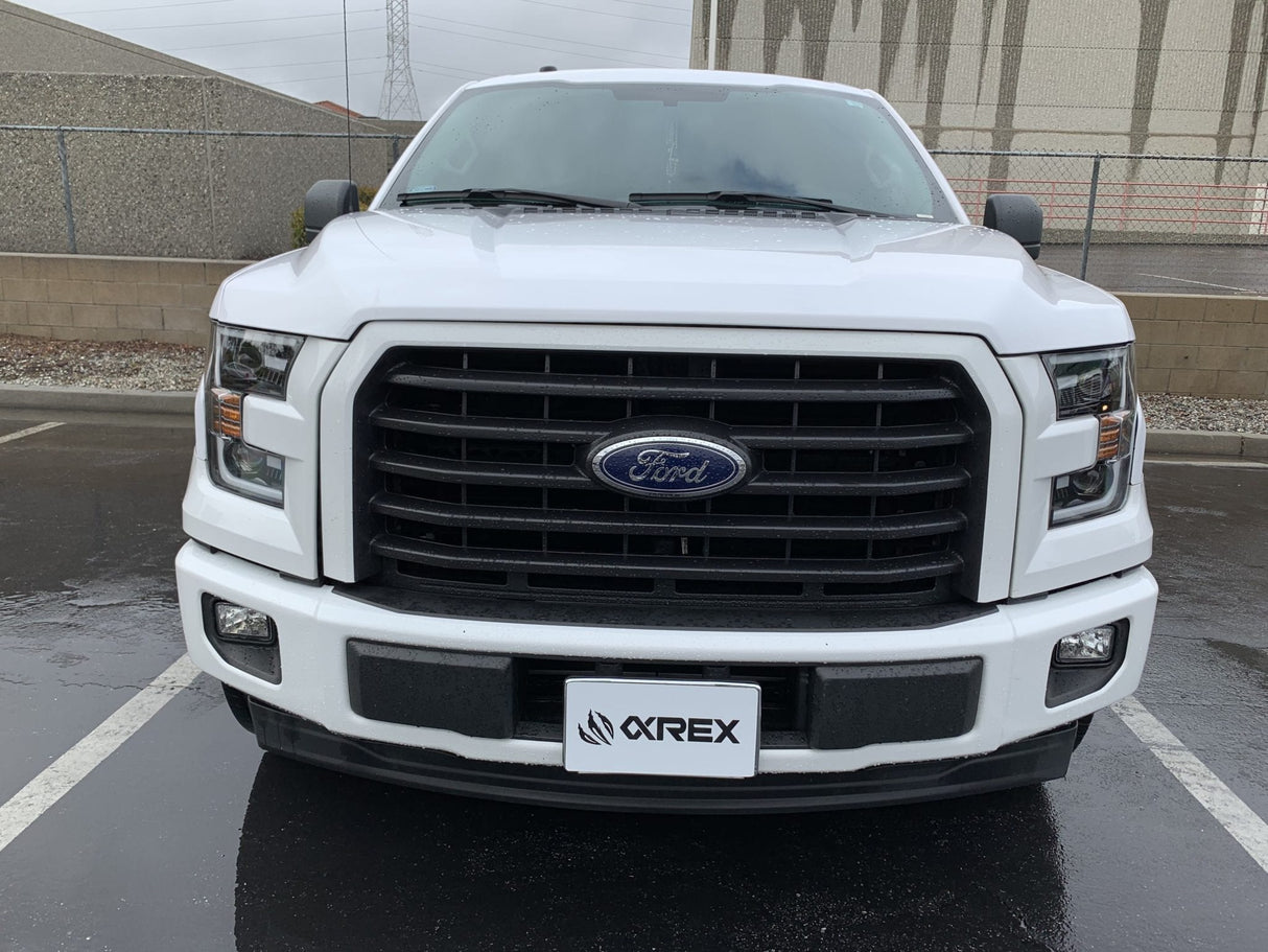 Phares halogènes projecteurs noirs pour Ford F150 série PRO 15-17