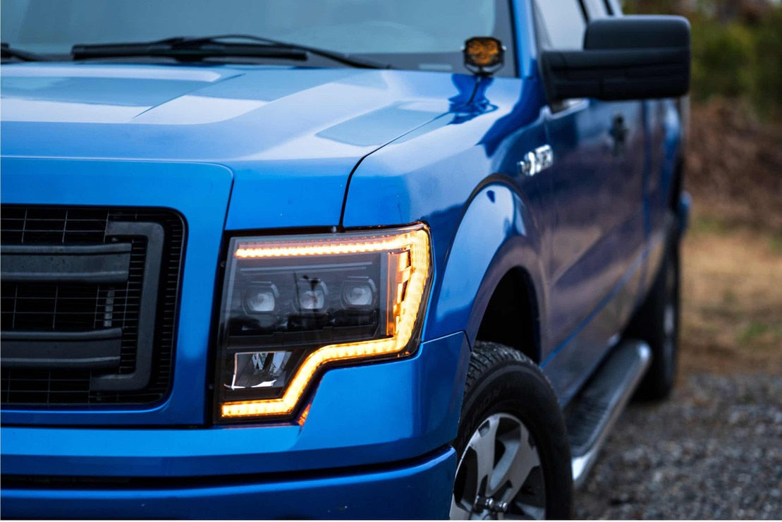 Système de feux de fossé à LED 4Banger : Ford Raptor (10-14)