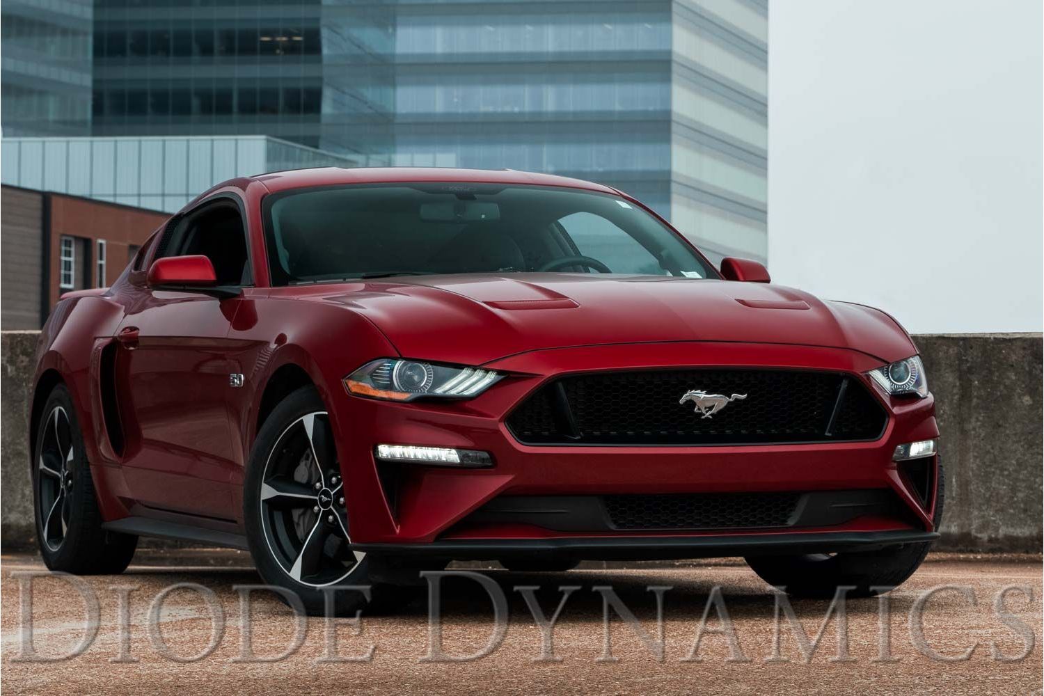 Elite Series Combination Fog Lamps installed on a 2018-2023 Ford Mustang