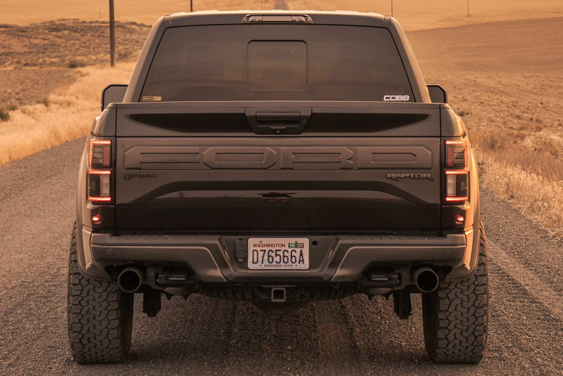 Ford F-150 (18-20) LED Third Brake Light