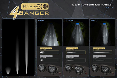 4Banger Led Fog Lights: Ford Raptor (10-14) BRACKETS