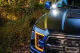 Ford Raptor (17-20) Ditch Light Brackets