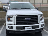 Phares halogènes projecteurs noirs pour Ford F150 série PRO 15-17