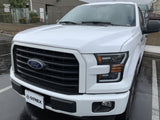 Phares halogènes projecteurs noirs pour Ford F150 série PRO 15-17