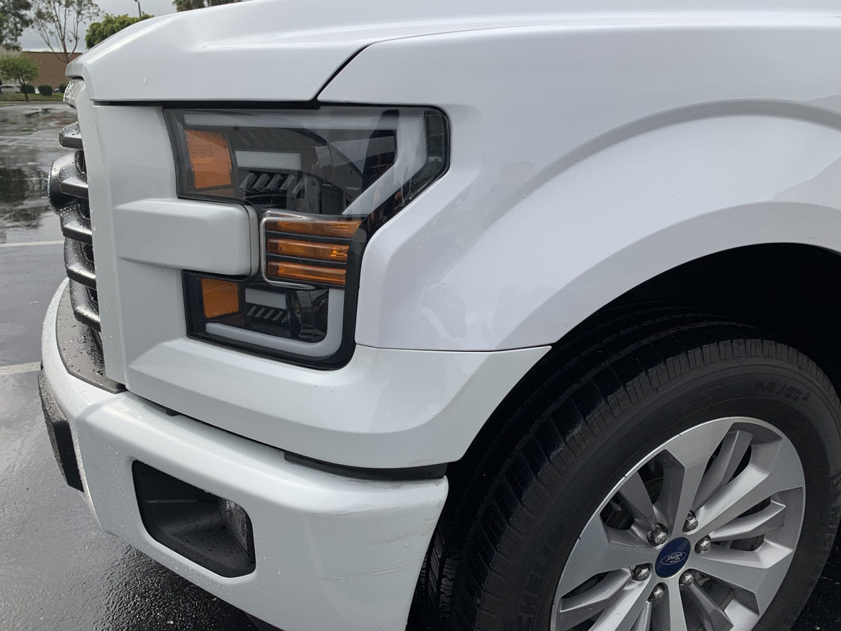 Phares halogènes projecteurs noirs pour Ford F150 série PRO 15-17