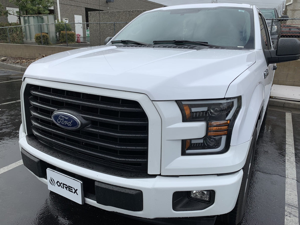 Phares halogènes projecteurs Ford F150 série PRO 15-17, noir de jais