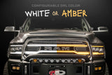 Dodge Ram (09-18) : phares à LED Morimoto Xb (ambre Drl)