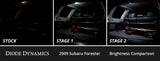 Kit de conversion LED intérieur pour Subaru Forester 2009-2013