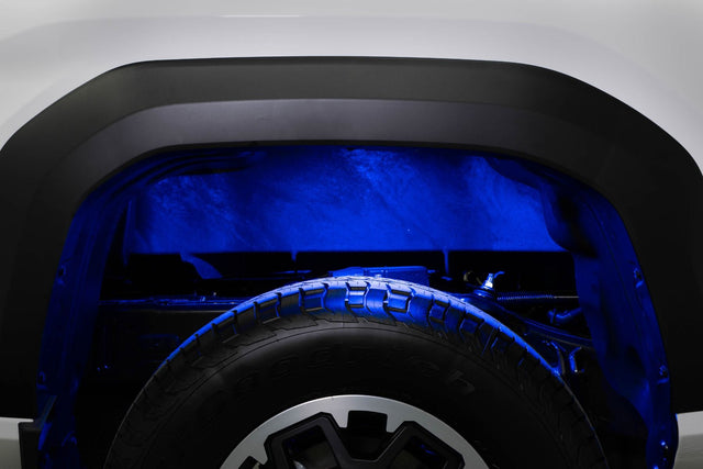 Stage Series RGBW LED Rock Light Kit (12-pack)