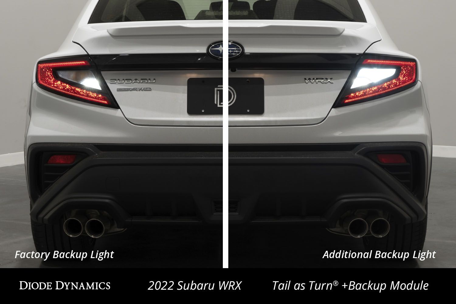 2022-2025 Subaru WRX Tail as Turn +Backup Module (USDM)