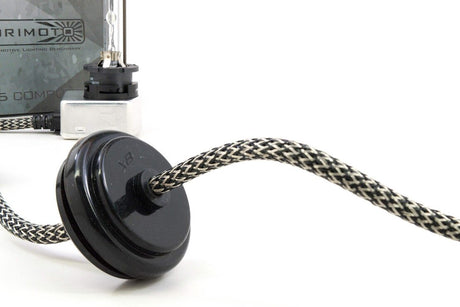 Replacement D2S: Xb Igniter (Single