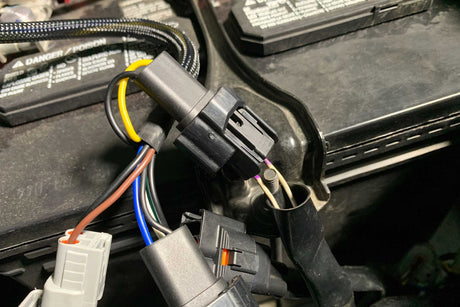 Conversion Harness: Tacoma OEM LED Headlights (16-23) SINGLE