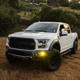 Squadron 2.0 Pro/S2 SAE "Pro" Fog Pocket Light Kit - Ford 2017-20 F-150 Raptor