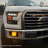Ford XL Pro Fog Pocket Kit - Ford 2015-2017 F-150