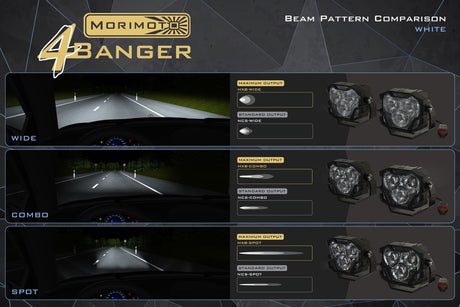 4Banger Led Fog Lights: Ford F150 (15-20)