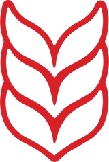 Ess K Customs Decal - Part Logo