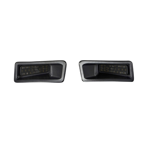 Feux de plaque d'immatriculation LED Ram 1500 2019-2023 (paire), transparents