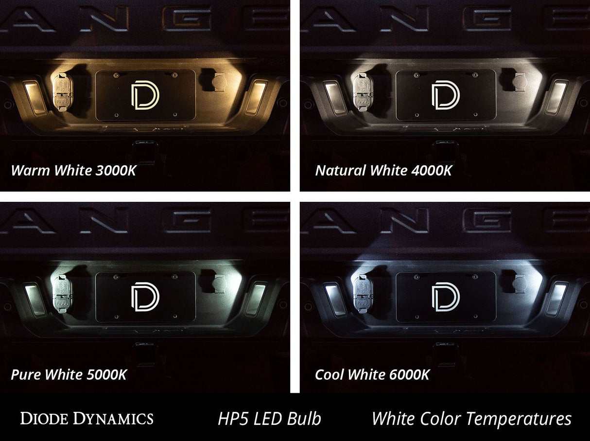 194 ampoules LED HP5
