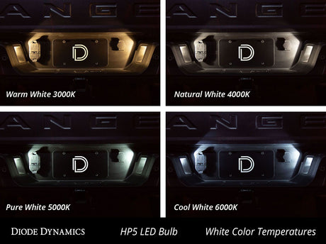 194 HP5 LED Bulbs
